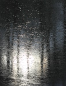 Spejling i skovsø med is